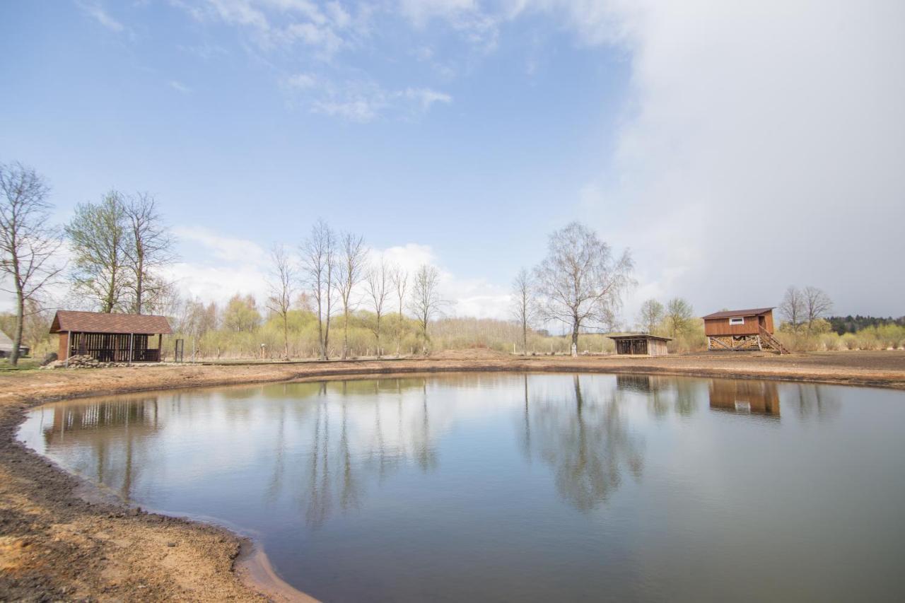 Arciau Gamtos Anyksciai Villa Kurkliai Luaran gambar