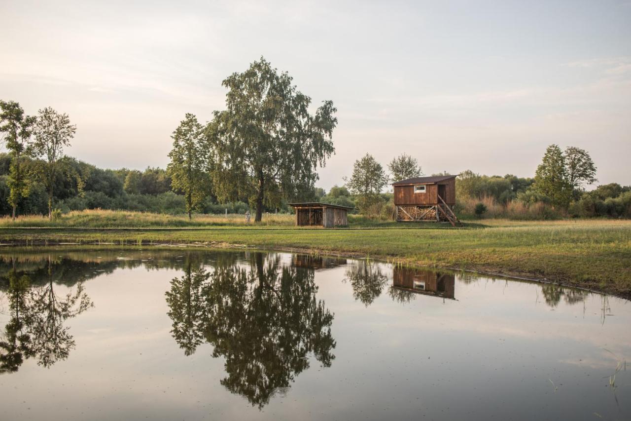 Arciau Gamtos Anyksciai Villa Kurkliai Luaran gambar