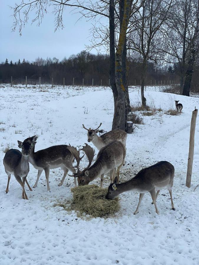Arciau Gamtos Anyksciai Villa Kurkliai Luaran gambar