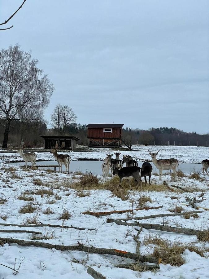 Arciau Gamtos Anyksciai Villa Kurkliai Luaran gambar