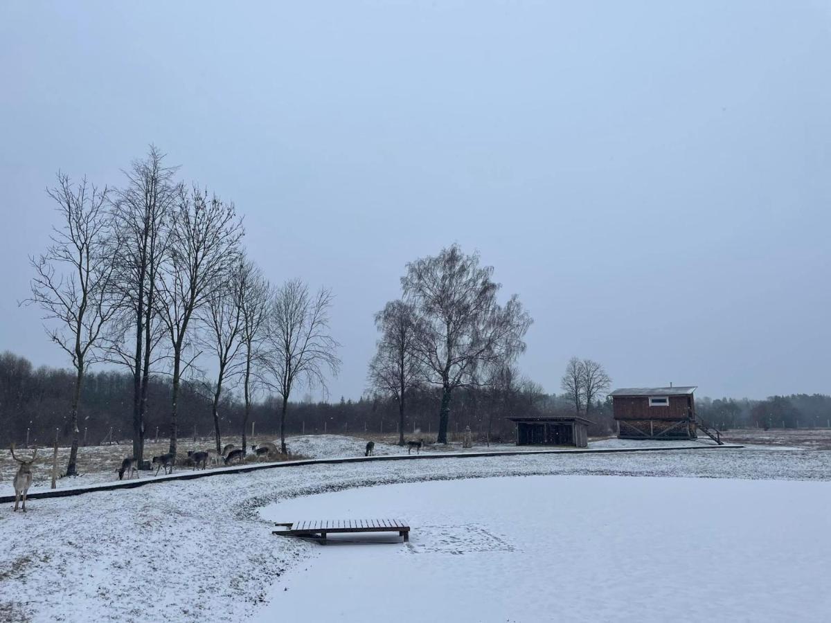 Arciau Gamtos Anyksciai Villa Kurkliai Luaran gambar
